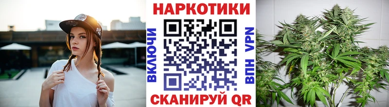 Наркошоп Сорочинск Кокаин  Амфетамин  Меф  БУТИРАТ  Альфа ПВП  Псилоцибиновые грибы 
