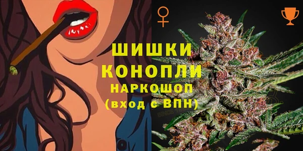 дживик Нея