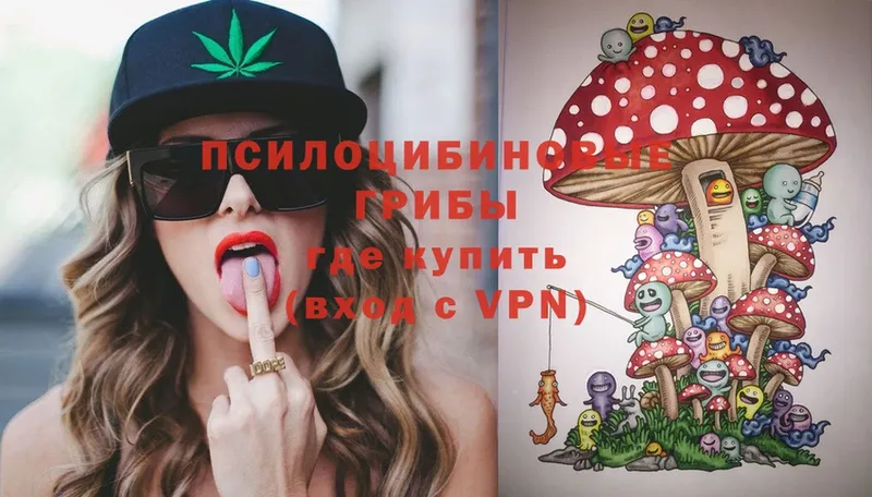 Псилоцибиновые грибы Psilocybine cubensis Сорочинск