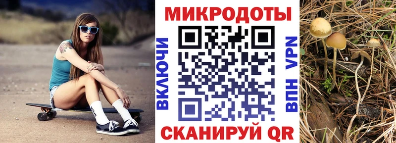 купить наркоту  Сорочинск  Псилоцибиновые грибы MAGIC MUSHROOMS 