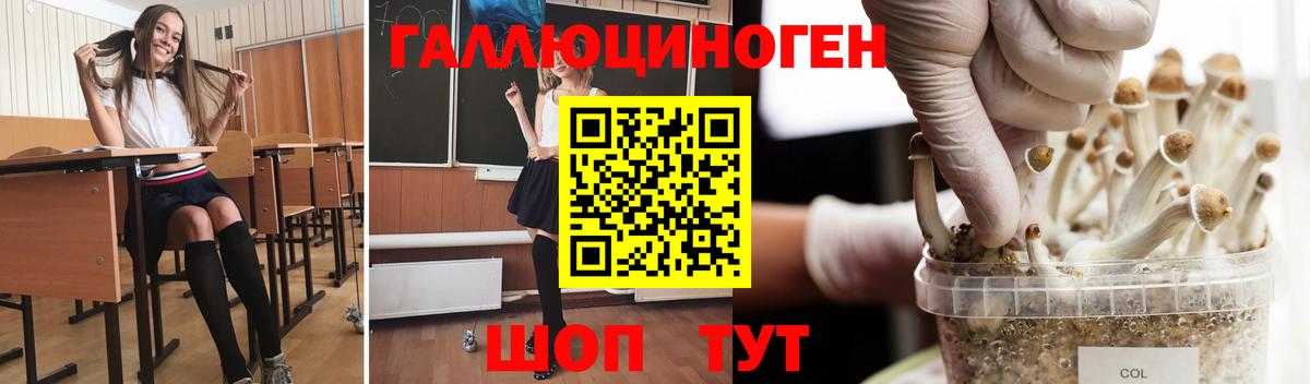 Псилоцибиновые грибы ЛСД  купить закладку  Сорочинск  Вход с VPN 